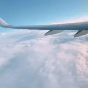 もなかの画像