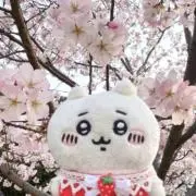 yuu＊＊の画像