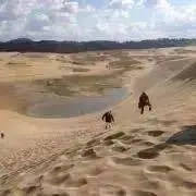 ミノンの画像