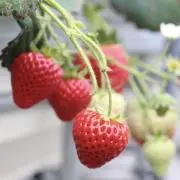 なぎさ＊セット割あり＊送料無料＊の画像
