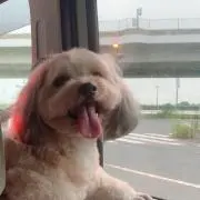 yunaの画像