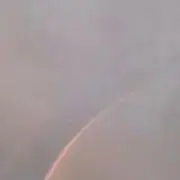 panの画像