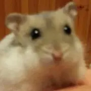 らちこʕ•ﻌ•ʔฅ