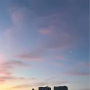 なすびの画像