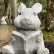 ⭐︎いろいろ出品中⭐︎の画像