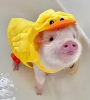 keitaro