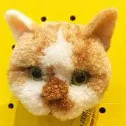 minの画像