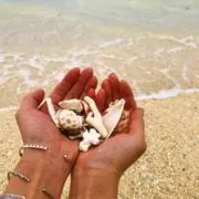 COCOの画像