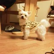 KEIKOの画像