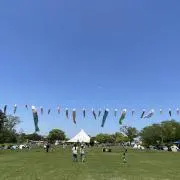 みっちの画像