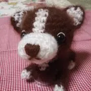 ひろの画像