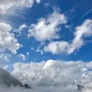 TOMOの画像