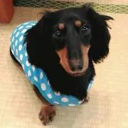 じゅん