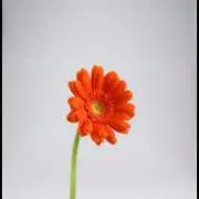 ♡はな♡ 断捨離中　まとめ割しますの画像