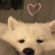はるかの画像