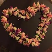 osushiの画像