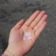 yco