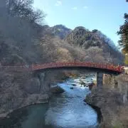 nyzakiの画像