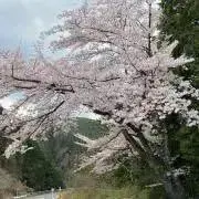み❀の画像