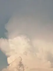 りりの画像