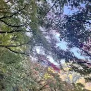即日発送心がけてますの画像