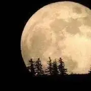 fusseの画像