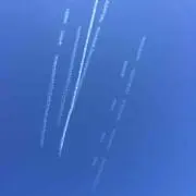 ゆりるの画像