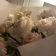 ayaの画像