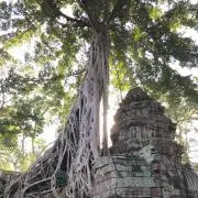 希少]Sean John ベンタイル コットン スモック ジャケット 90s - メルカリ