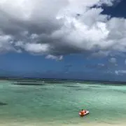 tatsu mahiの画像