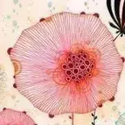 acha⑅◡̈♡♥ 在庫処分セールの画像