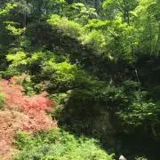 ケイトの画像
