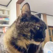 安さん