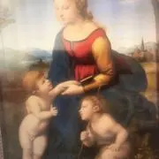 cosmosの画像