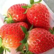 かよこっぺの画像