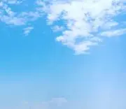 きんかんの画像