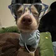 。の画像