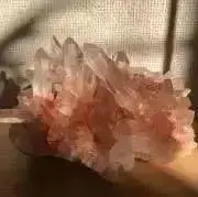 ☆マロン☆の画像