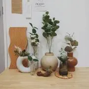 tmmの画像
