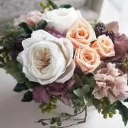 Lily◇プロフ一読お願い致します◇の画像