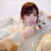 ぷちょへんざの画像
