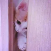 さっつん