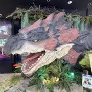 COMOMOの画像