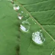 meeの画像