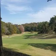 コスモ