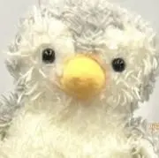 とむの画像