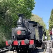 のりのり