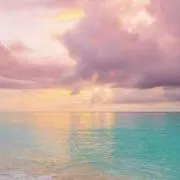 Rの画像