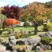 みみみの画像