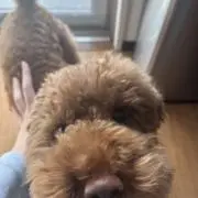 りそまるの画像